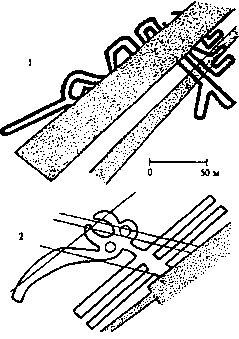 Иллюстрация к книге — Пустыня Наска. Следы иного разума [i_011.jpg]