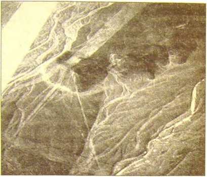 Иллюстрация к книге — Пустыня Наска. Следы иного разума [i_019.jpg]