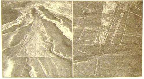 Иллюстрация к книге — Пустыня Наска. Следы иного разума [i_020.jpg]