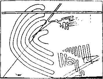 Иллюстрация к книге — Пустыня Наска. Следы иного разума [i_023.jpg]
