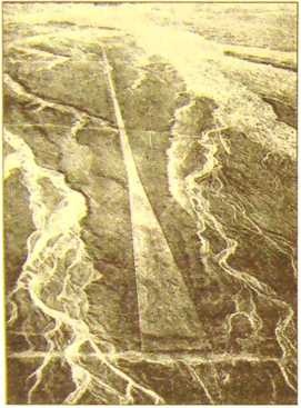 Иллюстрация к книге — Пустыня Наска. Следы иного разума [i_028.jpg]