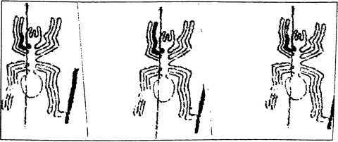 Иллюстрация к книге — Пустыня Наска. Следы иного разума [i_031.jpg]