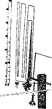 Иллюстрация к книге — Пустыня Наска. Следы иного разума [i_033.jpg]