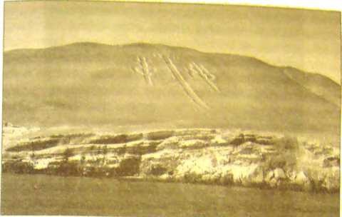 Иллюстрация к книге — Пустыня Наска. Следы иного разума [i_043.jpg]