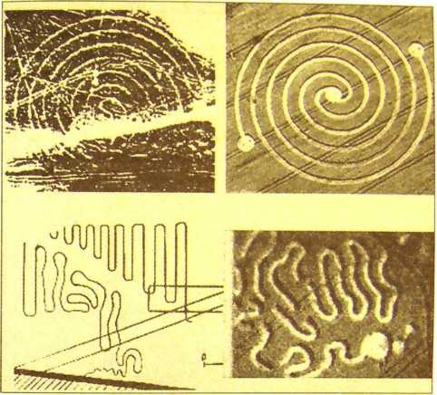 Иллюстрация к книге — Пустыня Наска. Следы иного разума [i_050.jpg]