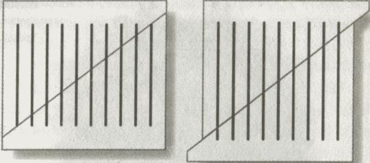 Иллюстрация к книге — Алекс в стране чисел. Необычайное путешествие в волшебный мир математики [i_099.jpg]