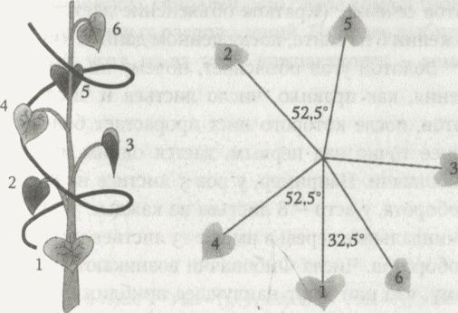 Иллюстрация к книге — Алекс в стране чисел. Необычайное путешествие в волшебный мир математики [i_128.jpg]