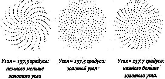 Иллюстрация к книге — Алекс в стране чисел. Необычайное путешествие в волшебный мир математики [i_129.jpg]