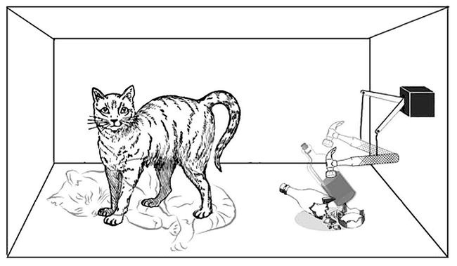 Иллюстрация к книге — Почему наука не отрицает существование Бога? [i_011.jpg]