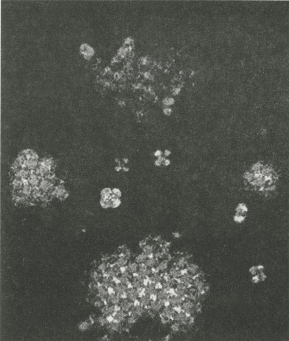 Иллюстрация к книге — Нанонауки. Невидимая революция [i_003.jpg]