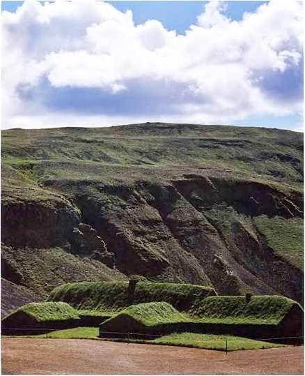 Иллюстрация к книге — Викинги. Мореплаватели, пираты и воины [i_022.jpg]