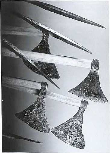 Иллюстрация к книге — Викинги. Мореплаватели, пираты и воины [i_031.jpg]