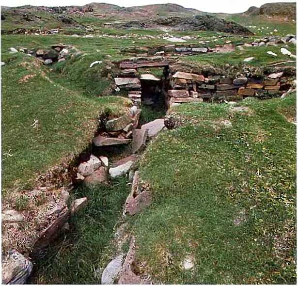 Иллюстрация к книге — Викинги. Мореплаватели, пираты и воины [i_043.jpg]