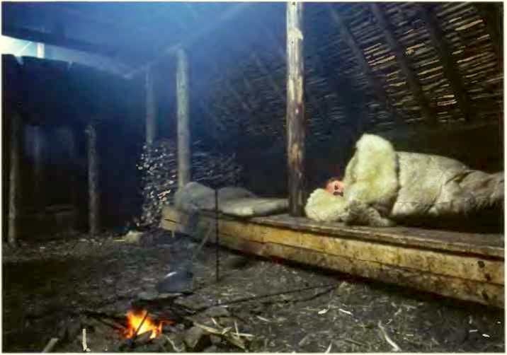 Иллюстрация к книге — Викинги. Мореплаватели, пираты и воины [i_047.jpg]