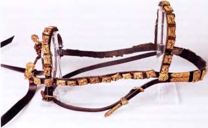 Иллюстрация к книге — Викинги. Мореплаватели, пираты и воины [i_065.jpg]