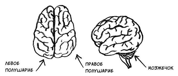 Иллюстрация к книге — О том, чего мы не можем знать. Путешествие к рубежам знаний [i_066.jpg]