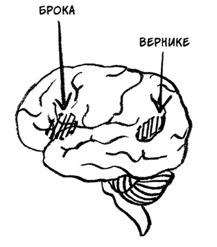 Иллюстрация к книге — О том, чего мы не можем знать. Путешествие к рубежам знаний [i_067.jpg]