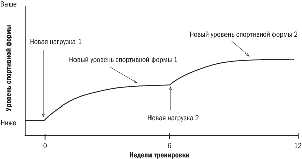 Иллюстрация к книге — От 800 метров до марафона [i_002.jpg]