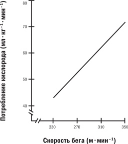 Иллюстрация к книге — От 800 метров до марафона [i_017.jpg]