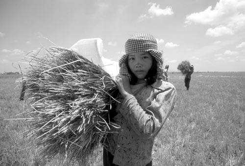 Иллюстрация к книге — Психология подросткового и юношеского возраста [autogen_ebook_id20.jpg]