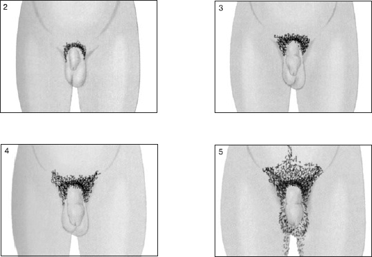 Иллюстрация к книге — Психология подросткового и юношеского возраста [autogen_ebook_id49.jpg]