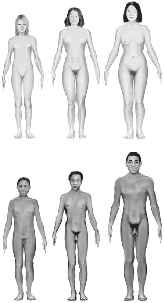 Иллюстрация к книге — Психология подросткового и юношеского возраста [autogen_ebook_id58.jpg]