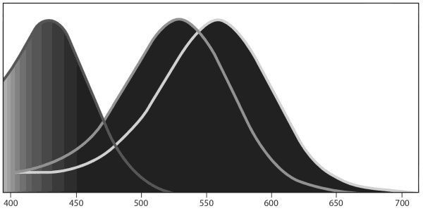 Иллюстрация к книге — Сквозь зеркало языка [i_021.jpg]