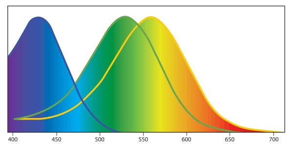 Иллюстрация к книге — Сквозь зеркало языка [i_036.jpg]