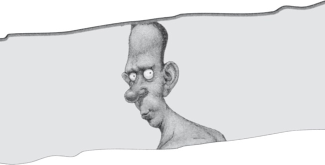 Иллюстрация к книге — История мозга. 1640 фактов [i_067.jpg]