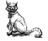 Иллюстрация к книге — История мозга. 1640 фактов [i_092.jpg]