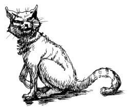 Иллюстрация к книге — История мозга. 1640 фактов [i_136.jpg]