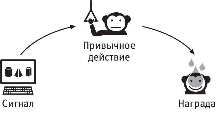 Иллюстрация к книге — Власть привычки. Почему мы живем и работаем именно так, а не иначе [i_013.jpg]