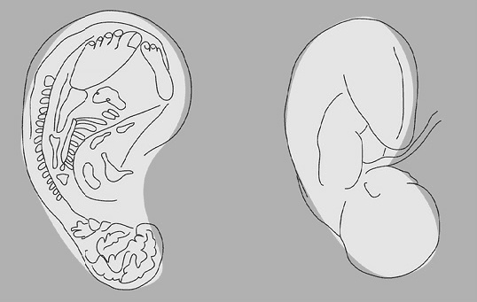 Иллюстрация к книге — Исцеление души от негативных эмоций. 25 упражнений. Деньги и духовность без противоречий [i_002.jpg]