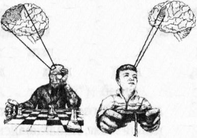 Иллюстрация к книге — Мозг онлайн. Человек в эпоху Интернета [i_007.jpg]