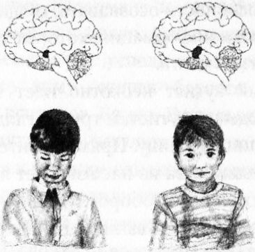 Иллюстрация к книге — Мозг онлайн. Человек в эпоху Интернета [i_013.jpg]