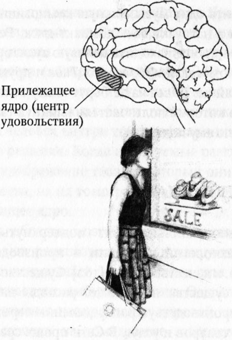 Иллюстрация к книге — Мозг онлайн. Человек в эпоху Интернета [i_015.jpg]