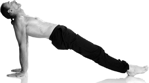 Иллюстрация к книге — Как развить способность безошибочно распознавать ложь и противостоять ей. Вся правда о лжи [i_005.jpg]