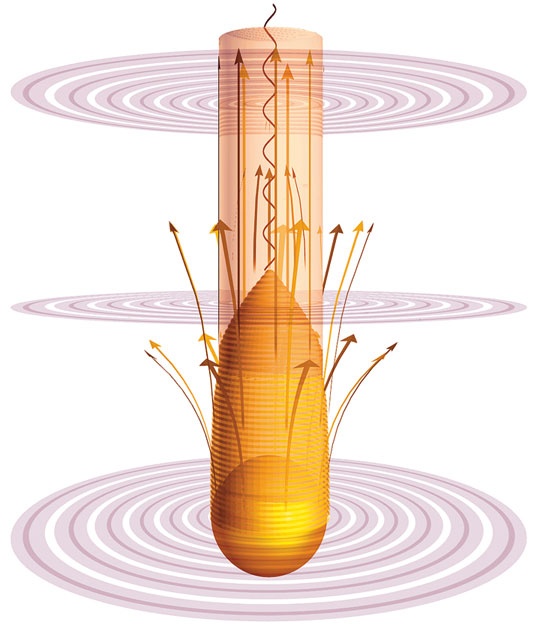 Иллюстрация к книге — На плечах гигантов [i_122.jpg]