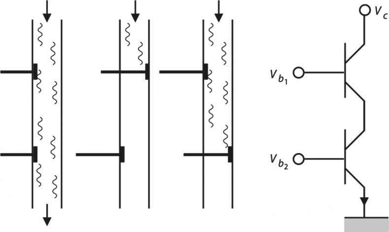 Иллюстрация к книге — Вселенная. Курс выживания среди черных дыр, временных парадоксов, квантовой неопределенности [i_061.jpg]