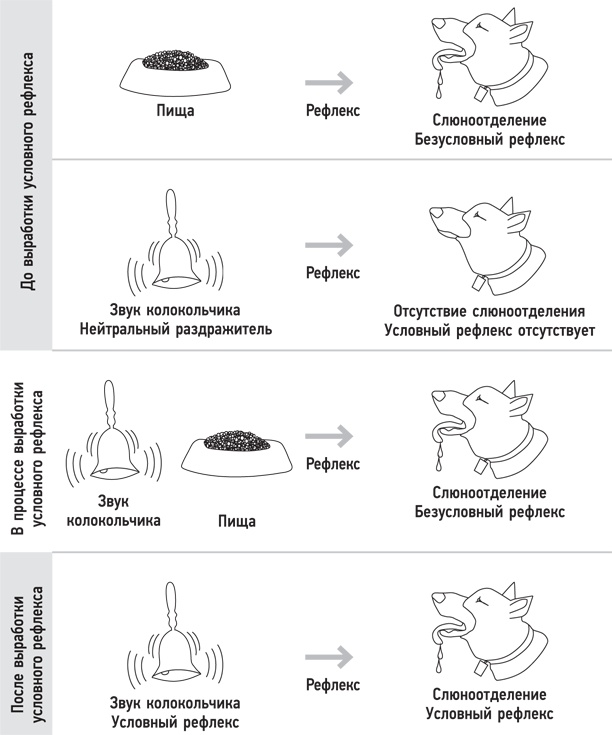 Иллюстрация к книге — Психология. Люди, концепции, эксперименты [i_001.jpg]
