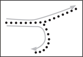 Иллюстрация к книге — Психология. Люди, концепции, эксперименты [i_013.jpg]