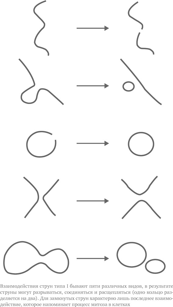 Иллюстрация к книге — Параллельные миры. Об устройстве мироздания, высших измерениях и будущем космоса [i_013.jpg]