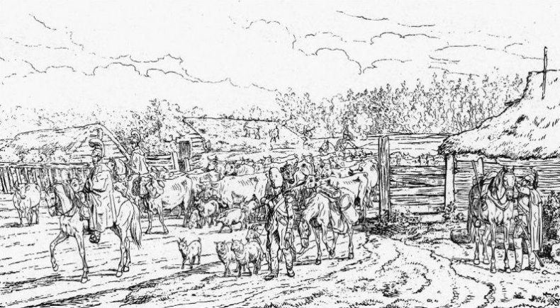 Иллюстрация к книге — 1812. Фатальный марш на Москву [_001.jpg]