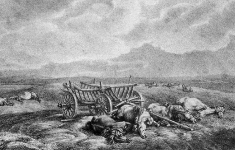 Иллюстрация к книге — 1812. Фатальный марш на Москву [_019.jpg]