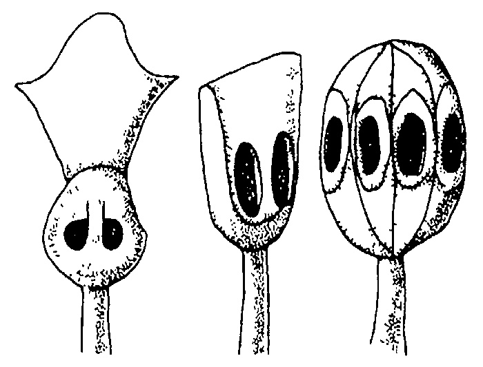 Иллюстрация к книге — Чингисхан. Имперская идея [_089.jpg]