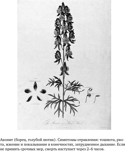 Иллюстрация к книге — Анатомия преступления. Что могут рассказать насекомые, отпечатки пальцев и ДНК [i_018.jpg]