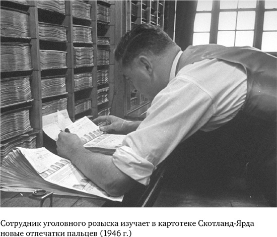 Иллюстрация к книге — Анатомия преступления. Что могут рассказать насекомые, отпечатки пальцев и ДНК [i_020.jpg]