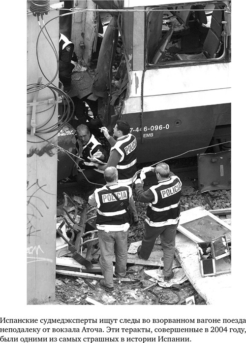 Иллюстрация к книге — Анатомия преступления. Что могут рассказать насекомые, отпечатки пальцев и ДНК [i_022.jpg]