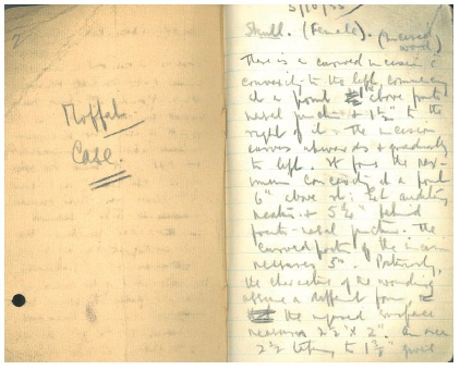 Иллюстрация к книге — Анатомия преступления. Что могут рассказать насекомые, отпечатки пальцев и ДНК [i_041.jpg]