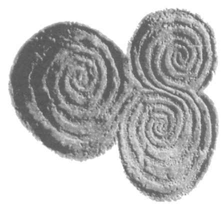 Иллюстрация к книге — Машина Уриила [i_049.jpg]